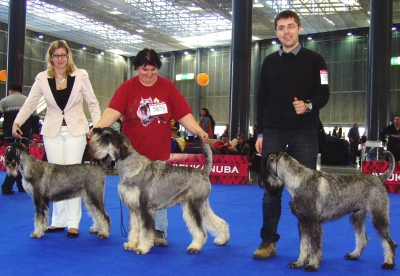 Schnauzer - Successful weekend in  Czech Brno-IDS