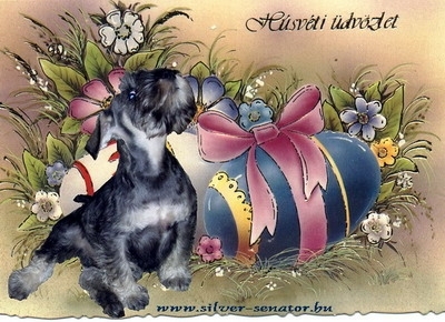Schnauzer - easter