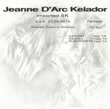 Schnauzer - Archive Jeanne D'Arc Kelador 0