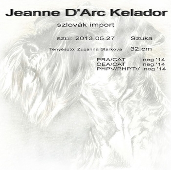 Schnauzer - Archívum Jeanne D'Arc Kelador 0
