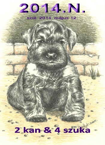 Schnauzer - 2014.N. trpe - 52