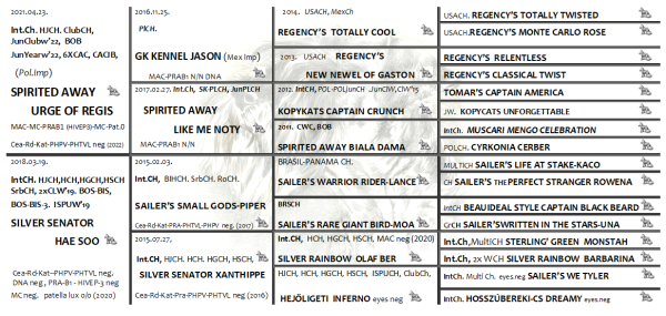 Schnauzer - Puppies for sale 2026.V. 0