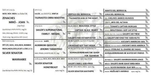 Schnauzer - Puppies for sale 2026.X. 0