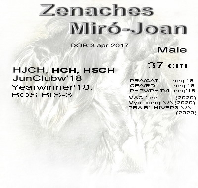 Schnauzer - Mini Schnauzer males HCH.Zenaches Miró-Joan (Esp imp) 0