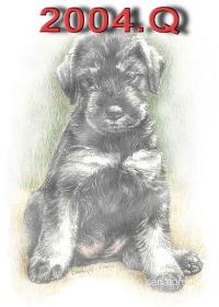 Schnauzer - 2004 Q - 76