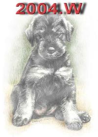 Schnauzer - 2004 W - 75