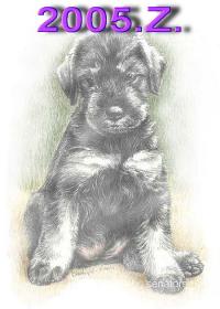 Schnauzer - 2005 Z - 74
