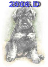 Schnauzer - 2006 D - 73