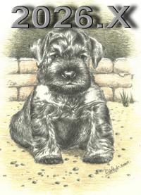 Schnauzer - 2026.X. - 3