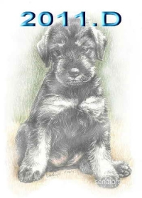 Schnauzer - 2011.D - 61
