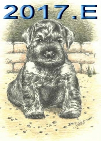 Schnauzer - 2017.E - 37