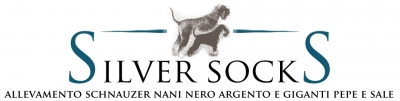 Silver Socks kennel